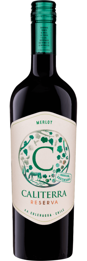 Merlot Reserva 2022 6x75cl bottle image