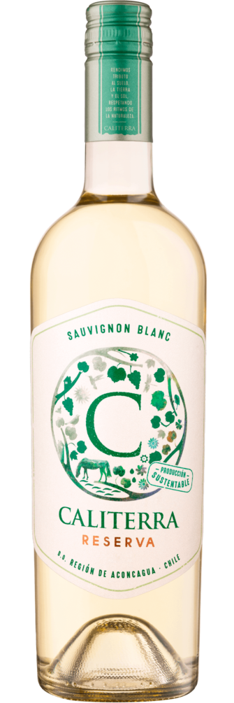 Sauvignon Blanc Reserva 2023 6x75cl bottle image
