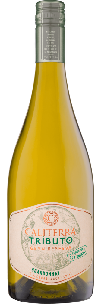 Tributo Gran Reserva Chardonnay 2021 6x75cl bottle image