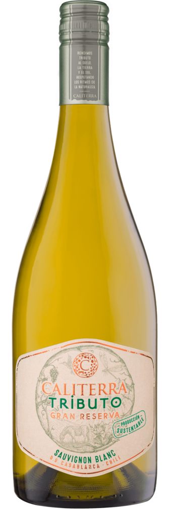 Tributo Gran Reserva Sauvignon Blanc 2023 6x75cl bottle image