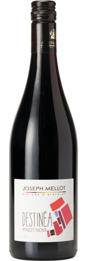 Destinéa Pinot Noir 2023 6x75cl bottle image
