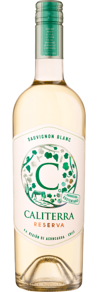 Sauvignon Blanc Reserva 2024 6x75cl bottle image