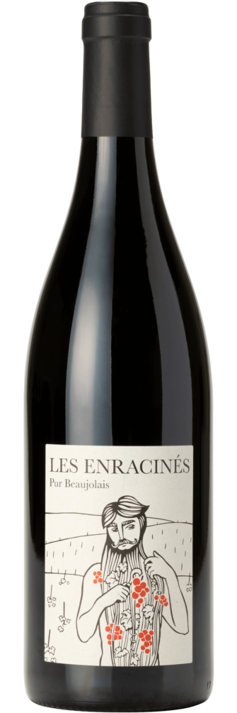 Les Enracinés Vin Sans Soufre Beaujolais-Villages
 2022 6x75cl bottle image