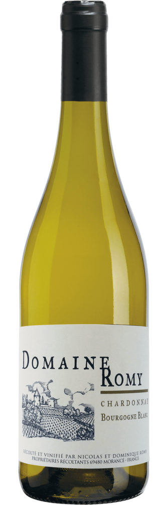 Bourgogne Chardonnay ‘Clos de la Chapelle’ 2022 6x75cl bottle image