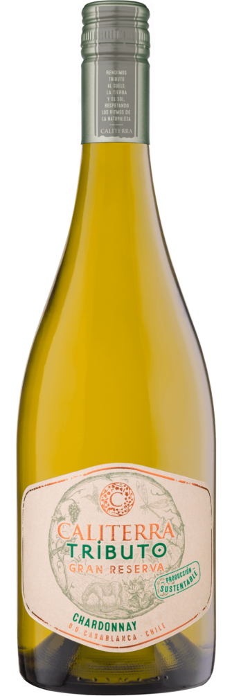 Tributo Gran Reserva Chardonnay 2022 6x75cl bottle image