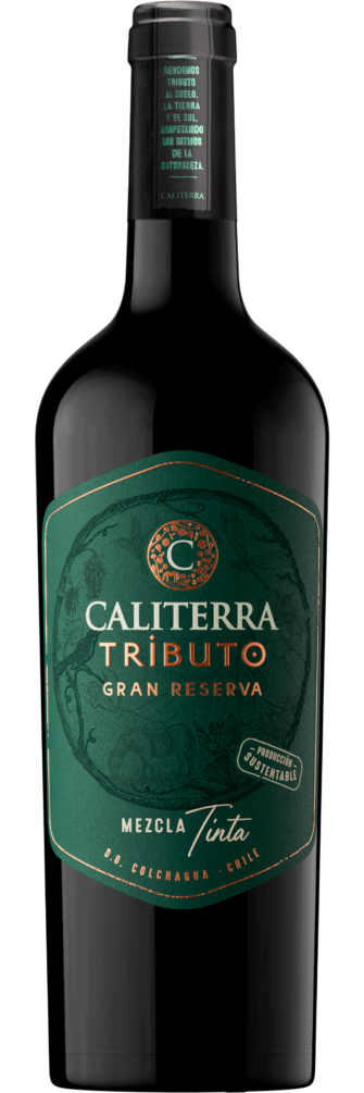 Tributo Gran Reserva Mezcla Tinta 2021 6x75cl bottle image