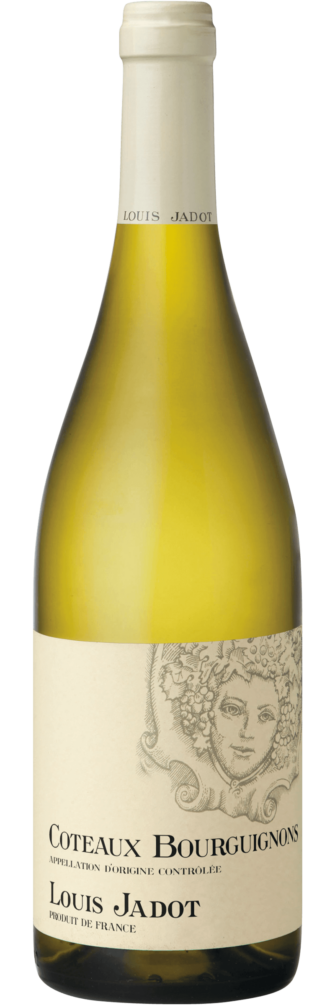 Coteaux Bourguignons Blanc 2022 6x75cl bottle image