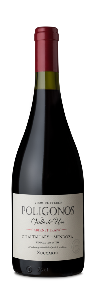 Polígonos Gualtallary Cabernet Franc 2022 6x75cl bottle image