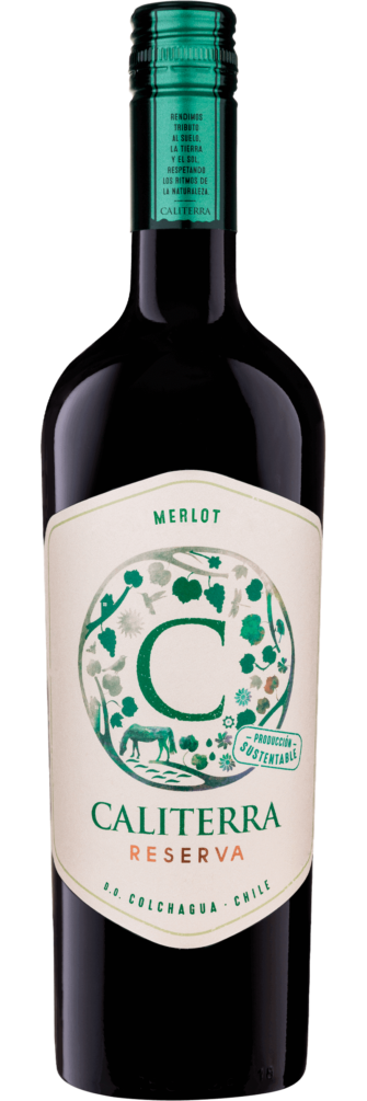 Merlot Reserva 2023 6x75cl bottle image