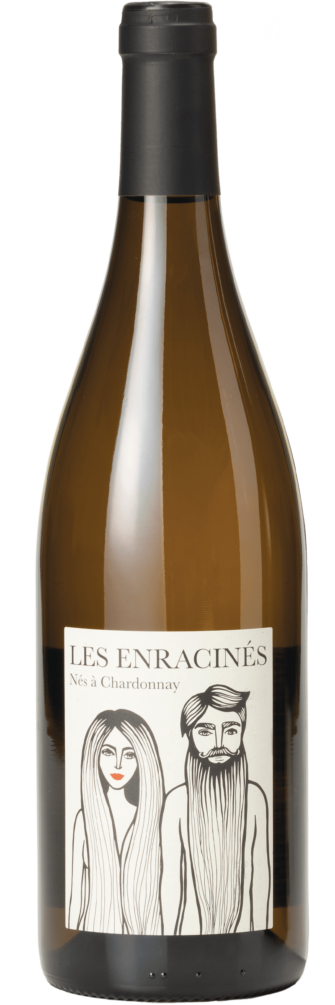 Les Enracinés Vin Sans Soufre Mâcon-Chardonnay 2023 6x75cl bottle image