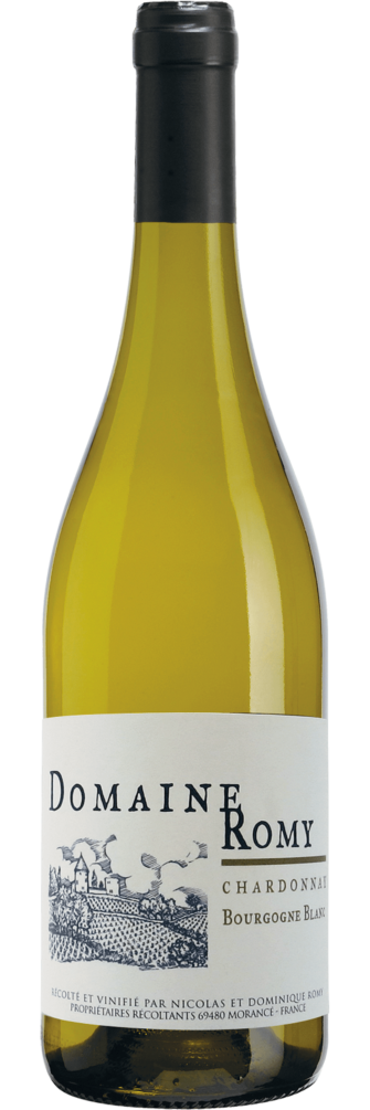 Bourgogne Chardonnay 'Clos de la Chapelle' 2021 6x75cl bottle image